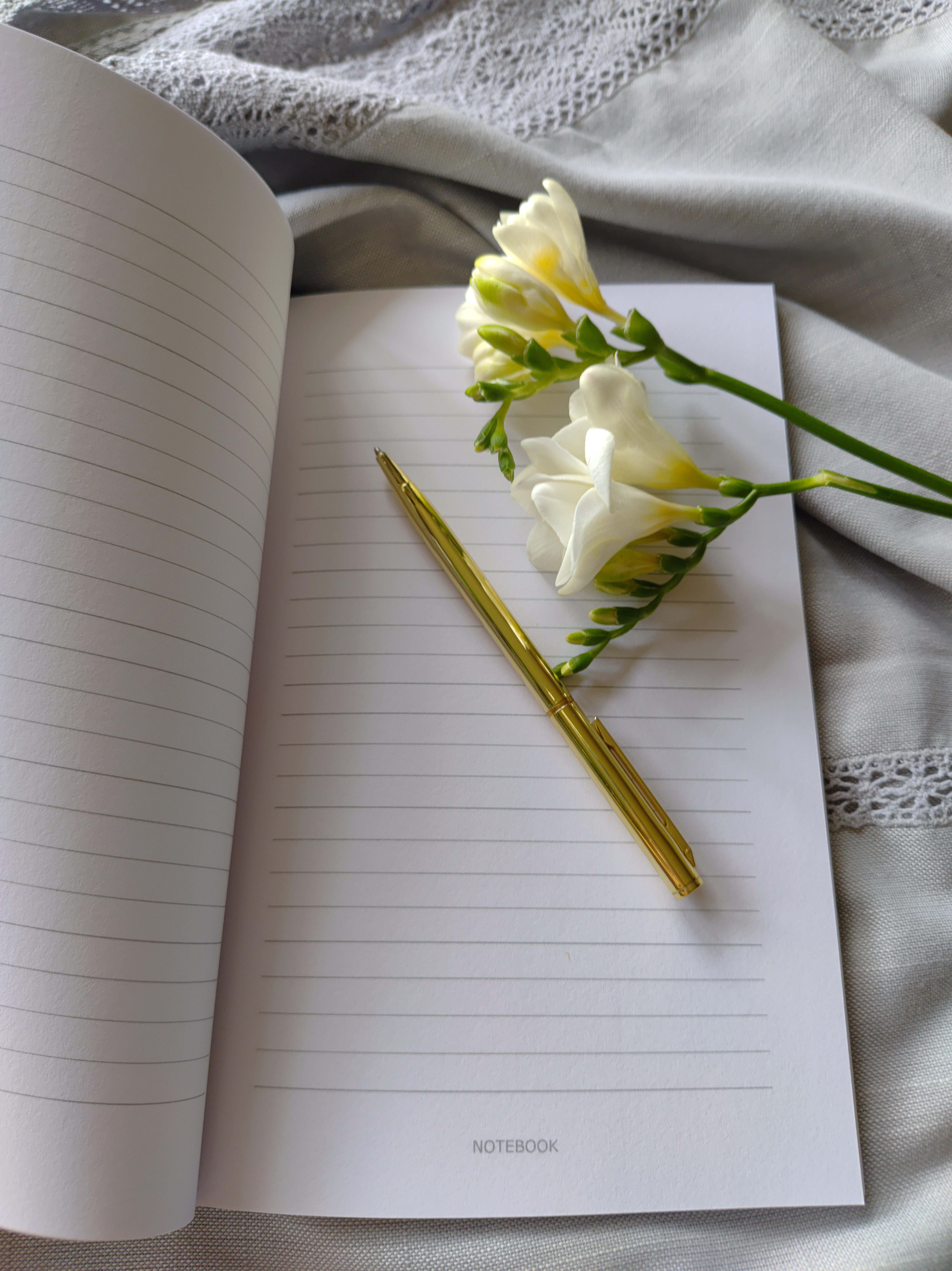 Inside pages of 6x9 lined journal, 100 pages